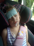 Daisy asleep in car - Hickman line showing